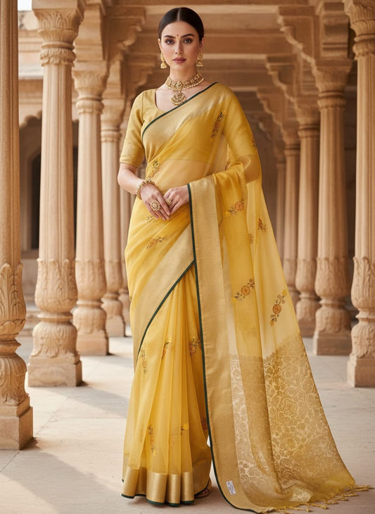 organza saree with fancy